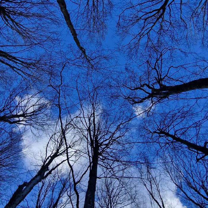 Pranoterapia con meditazione